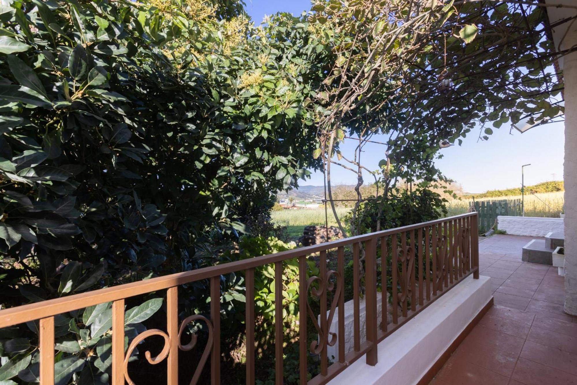 Lightbooking Casa De Campo Ortigal Tenerife La Esperanza  Екстериор снимка
